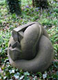 Knoop